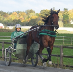 Ugly Duckling 171013-1